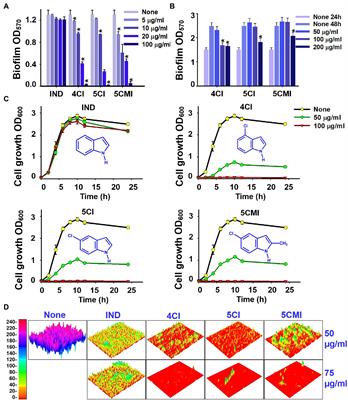 Antibiofilm and Antimicrobial Activities of Chloroindoles Against Uropathogenic Escherichia coli